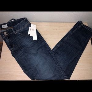 NWT Hudson Collin Skinny Jeans